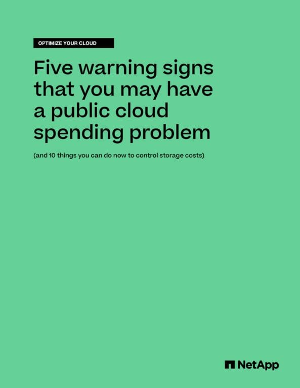 Immagine del whitepaper: Cloud pubblico: una guida in 10 step per ottimizzare la gestione della spesa