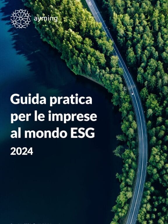 Immagine del whitepaper: Sblocca il futuro sostenibile della tua azienda